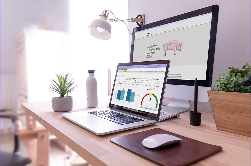 schermo del pc dove con la BI di Goland e uno dietro con home del sito del cliente