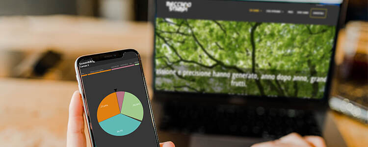 cellulare in primo piano con un grafico a torta e sullo sfondo il sito di Meccanostampi sfuocato