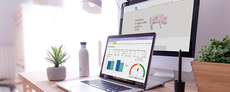 schermo del pc dove con la BI di Goland e uno dietro con home del sito del cliente