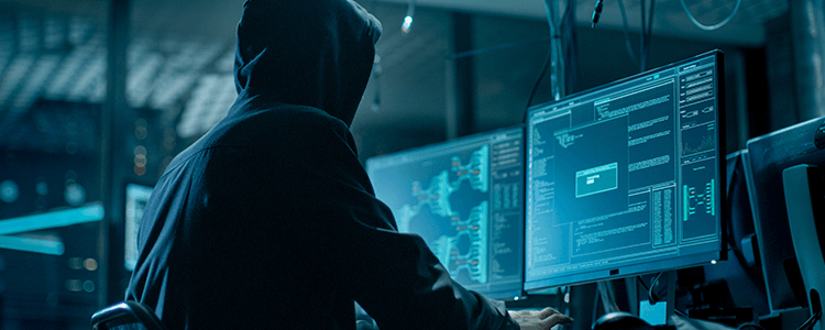 hacket con felpa nera e cappuccio di spalle davanti ha due pc